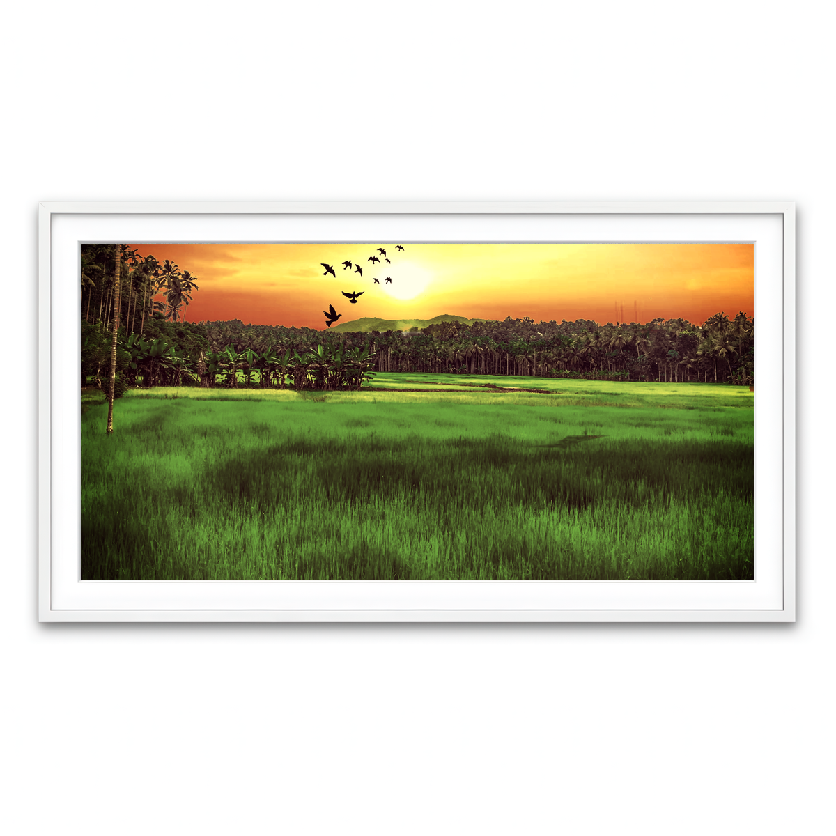 Framed Print 2x1 White