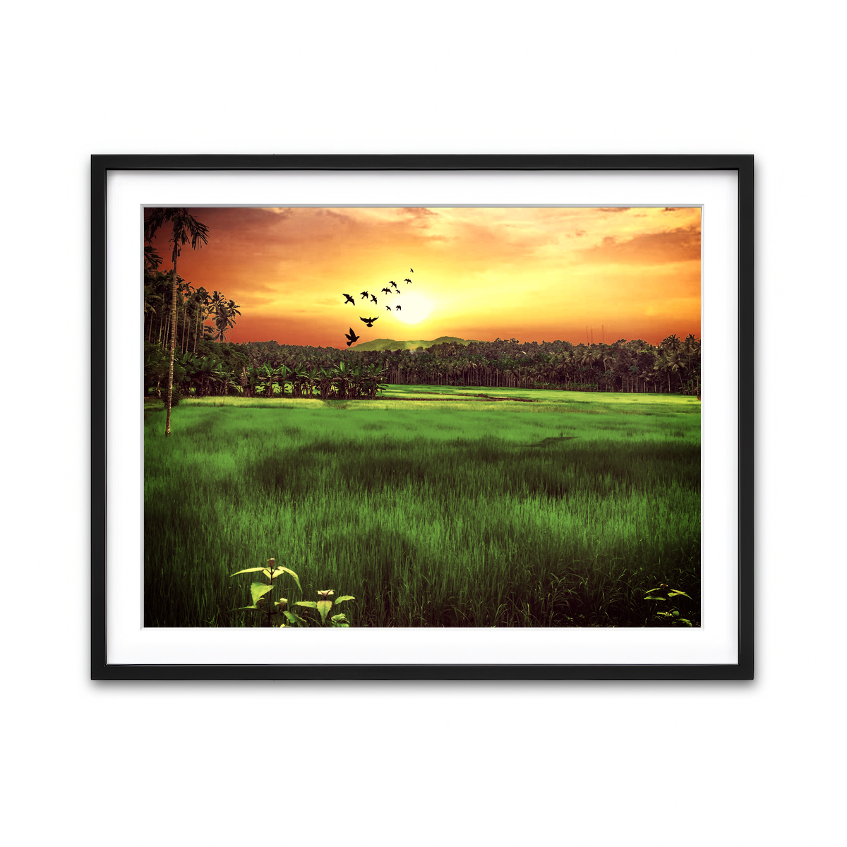 Framed Print 4x3 Black