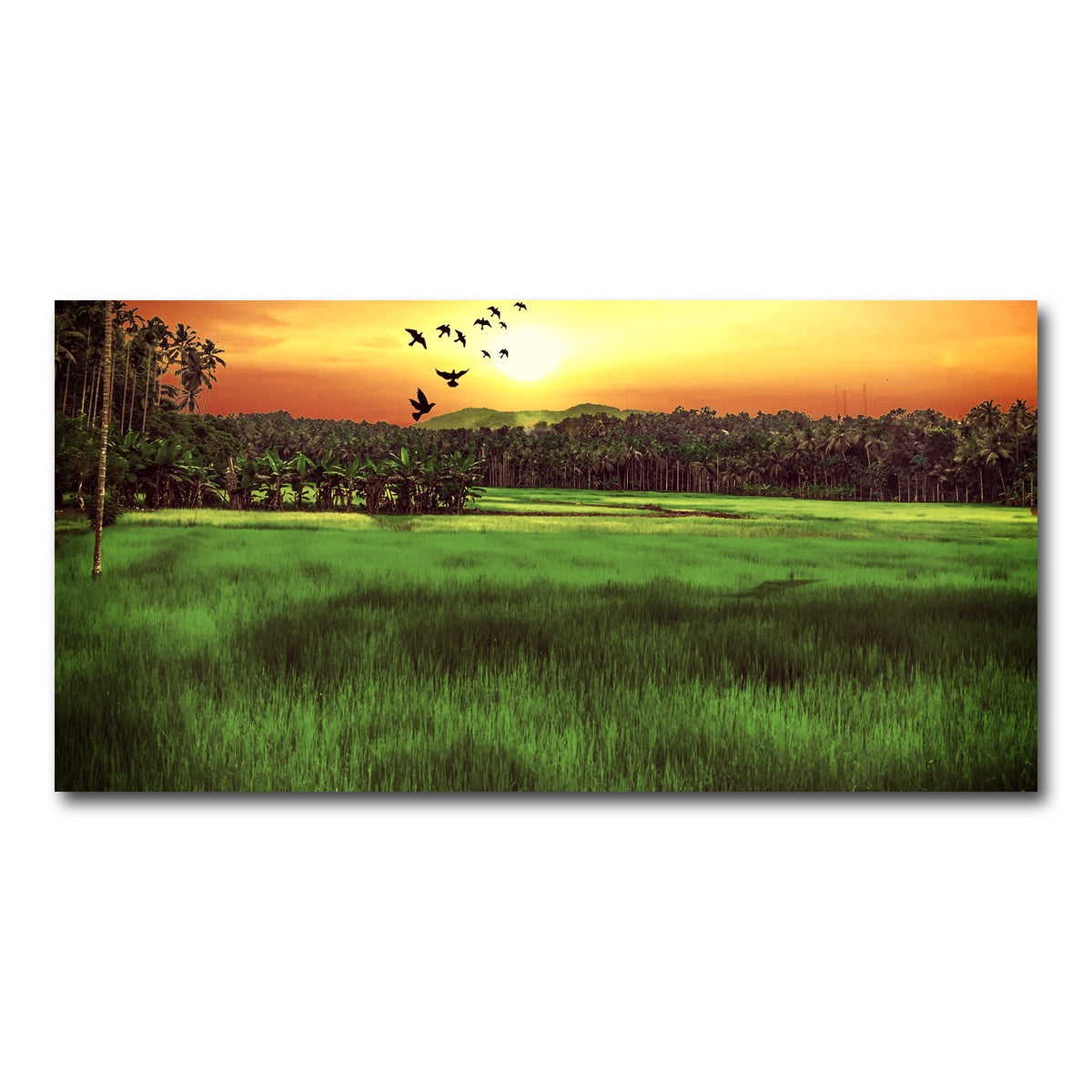 AUTO-MOCKUP WHITE | Sunset Landscape | 1 Piece | Gallery Wrap Canvas | group=2x1