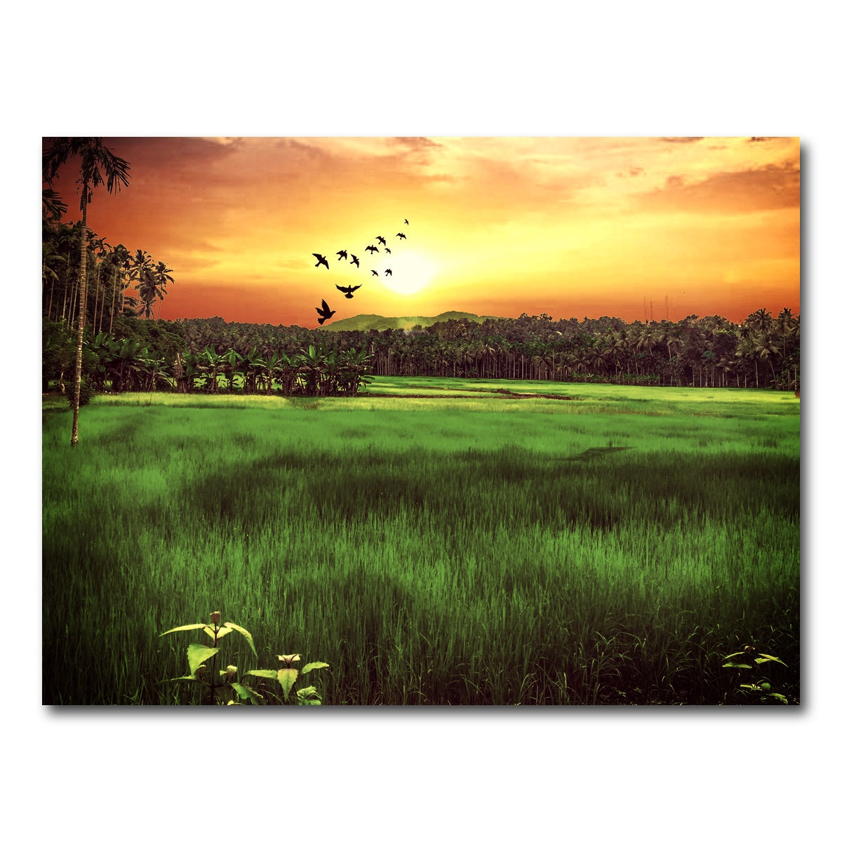 AUTO-MOCKUP WHITE | Sunset Landscape | 1 Piece | Gallery Wrap Canvas | group=4x3