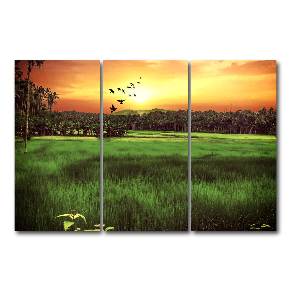 AUTO-MOCKUP WHITE | Sunset Landscape | 3 Piece | Gallery Wrap Canvas | group=12x24