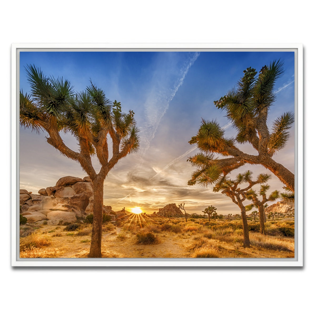 AUTO-MOCKUP WHITE | Sunset at Joshua Tree National Park | 1 Piece | White Framed Canvas | group=4x3