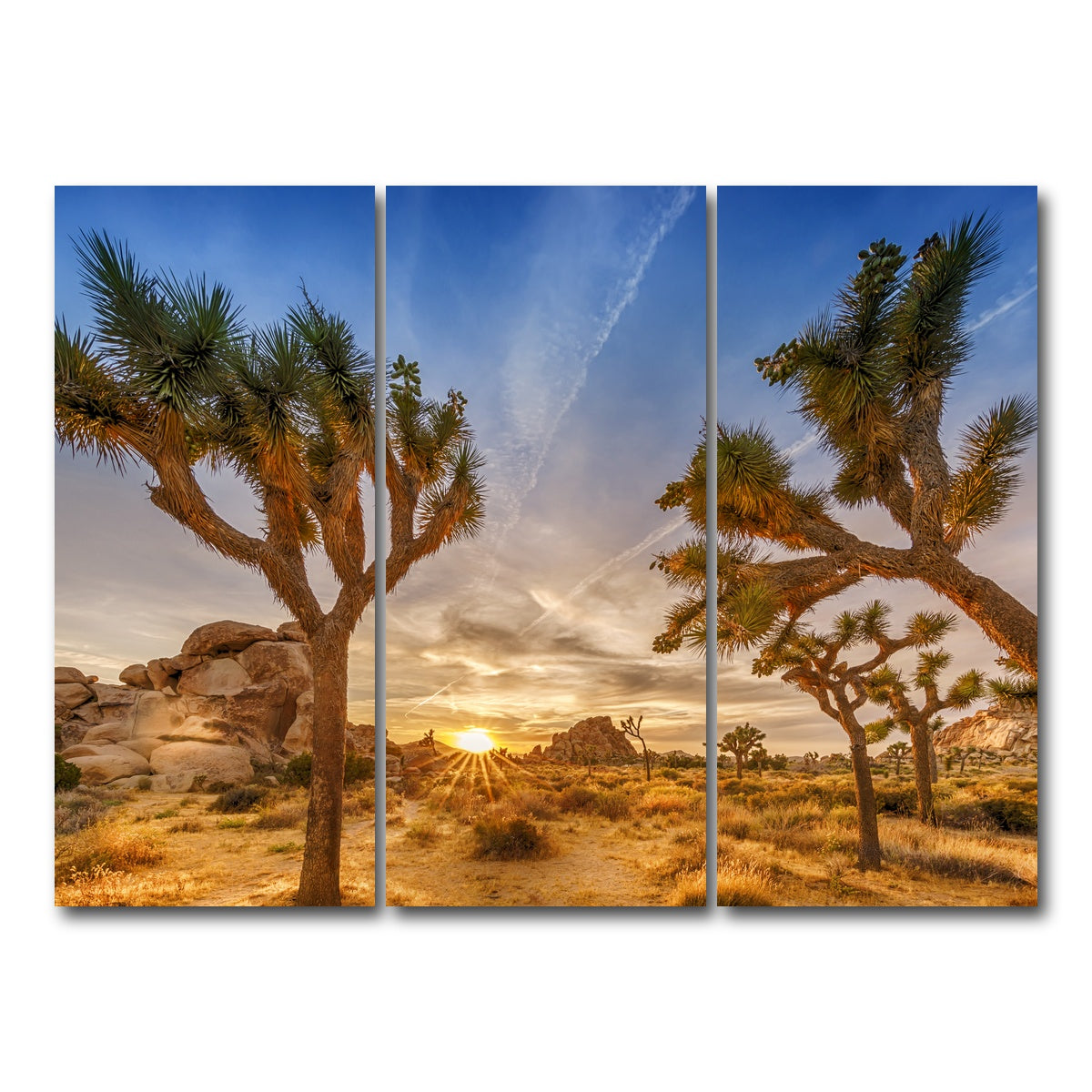 AUTO-MOCKUP WHITE | Sunset at Joshua Tree National Park | 3 Piece | Gallery Wrap Canvas | group=8x18