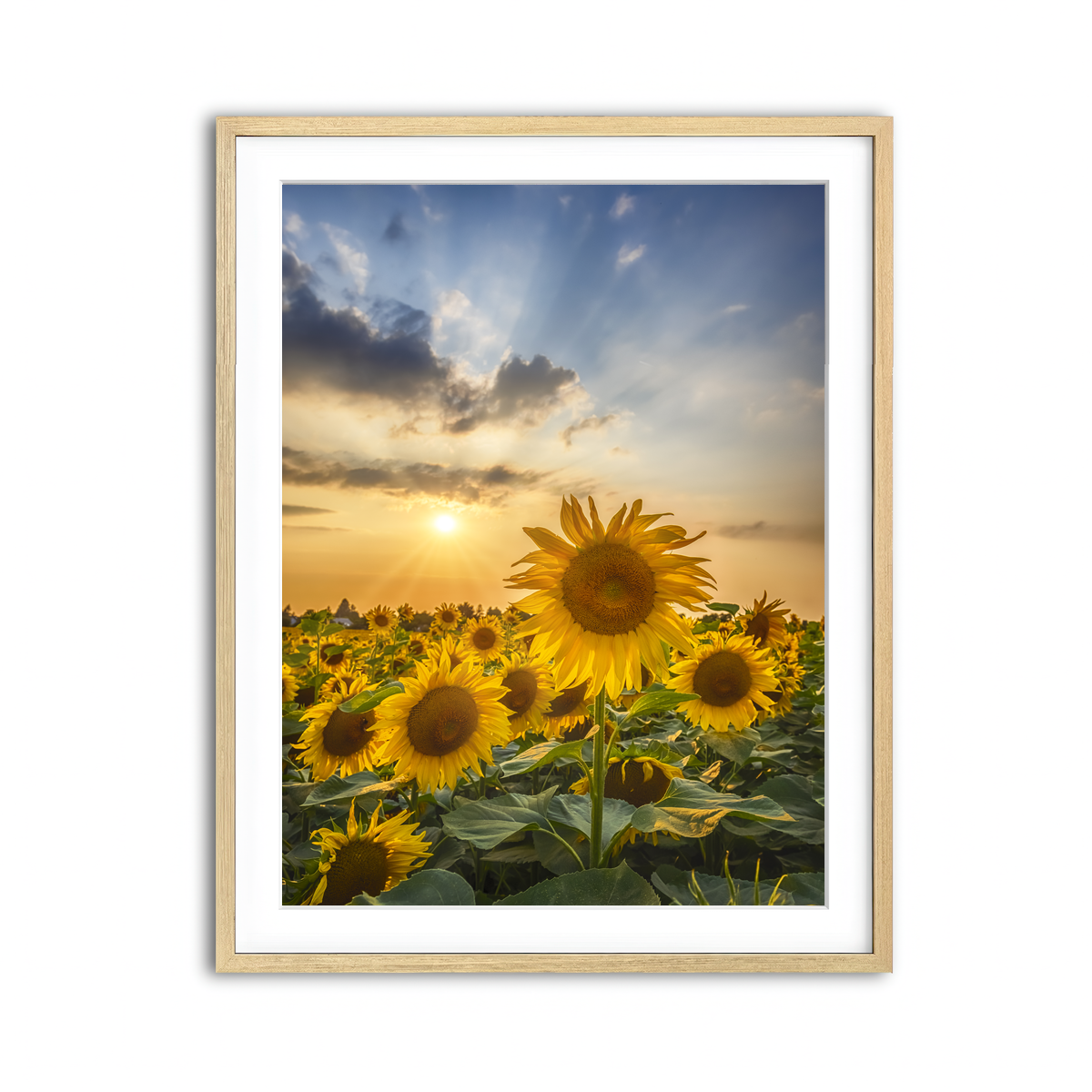Framed Print 3x4 Natural