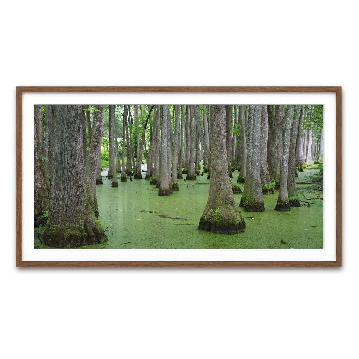 Framed Print 2x1 Walnut