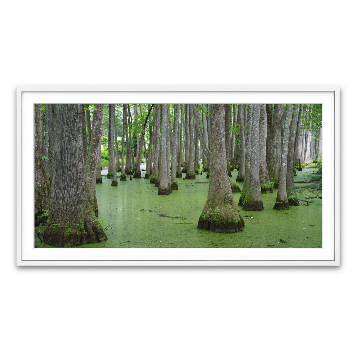 Framed Print 2x1 White