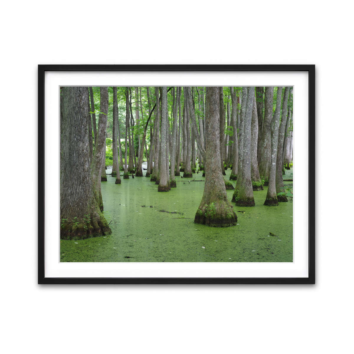 Framed Print 4x3 Black