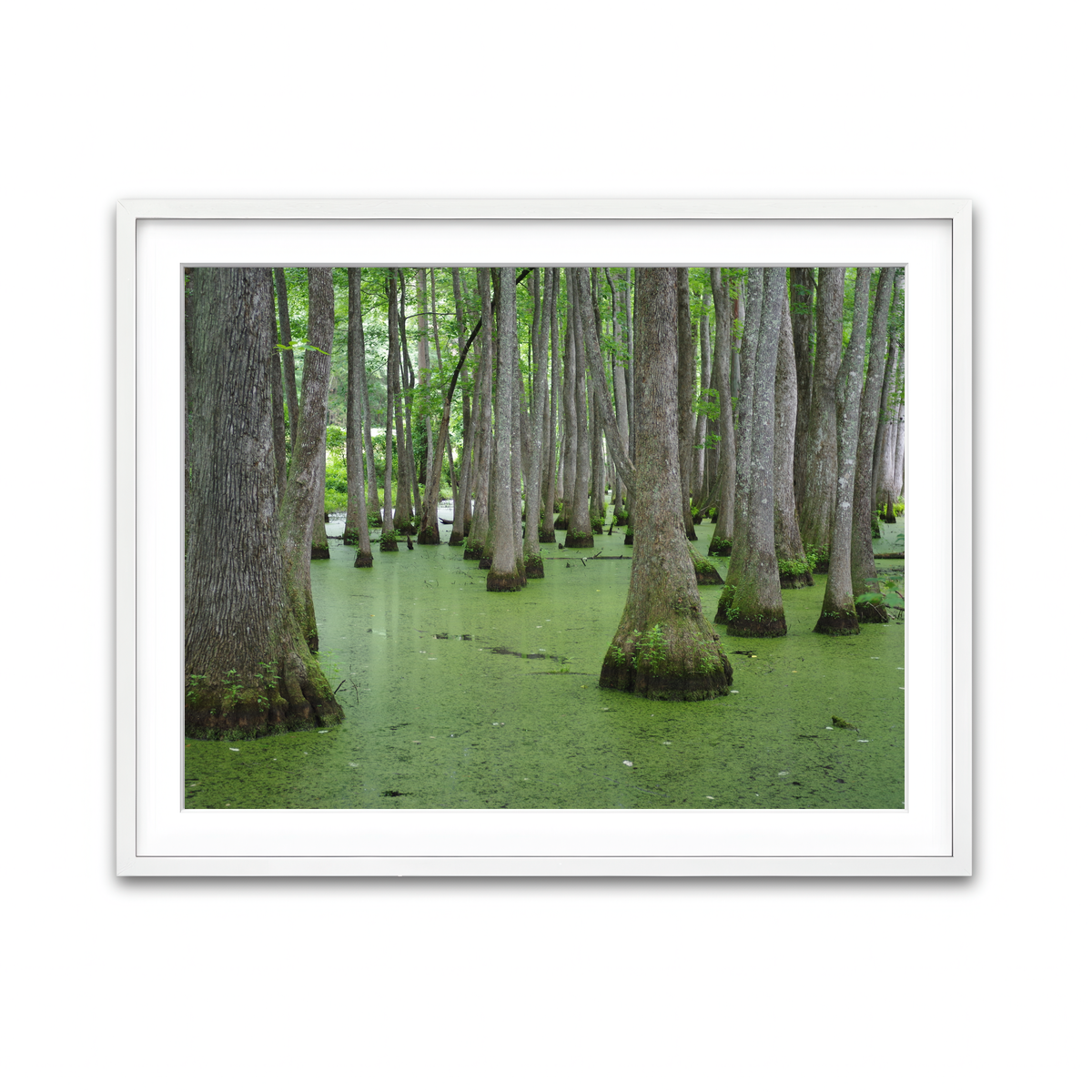 Framed Print 4x3 White