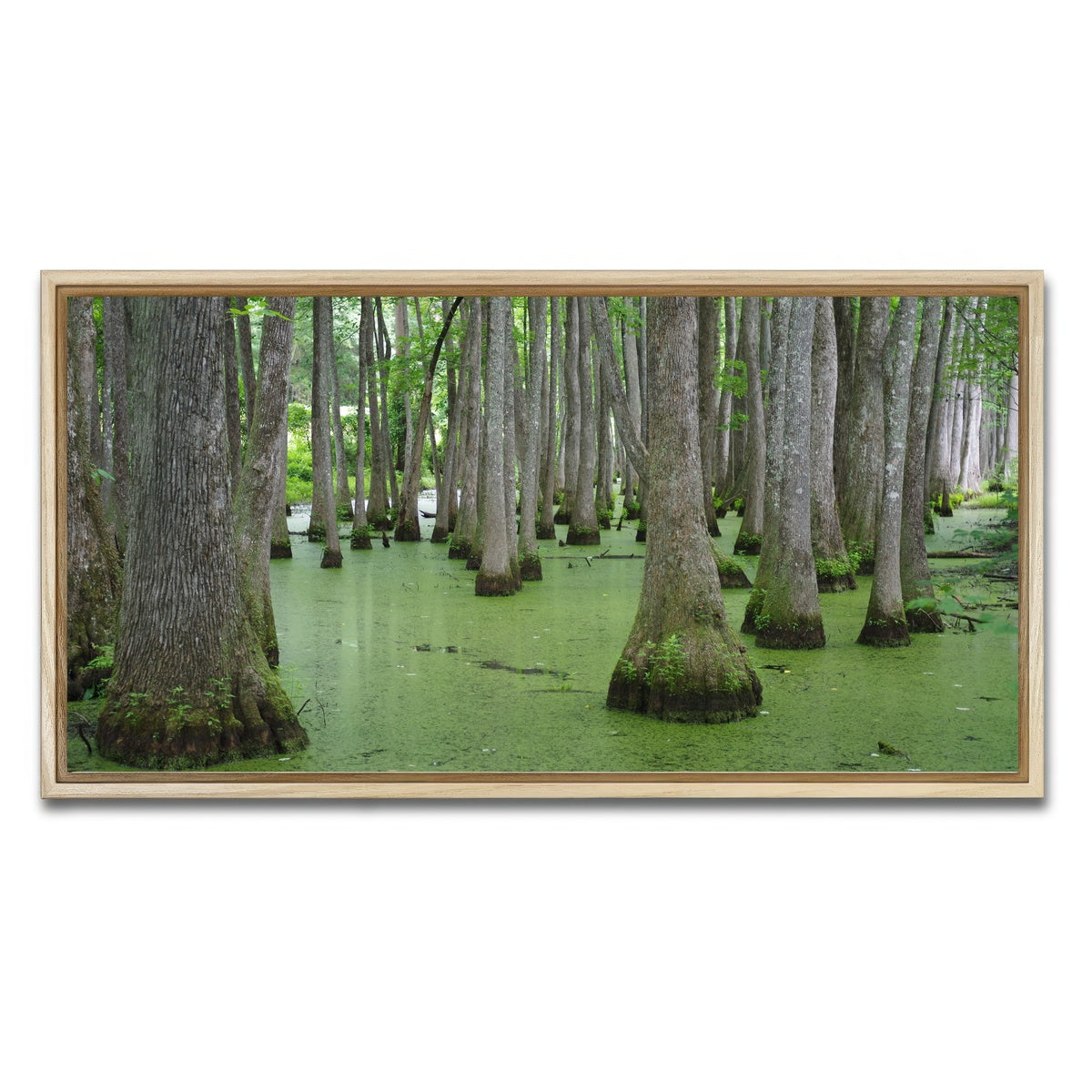 AUTO-MOCKUP WHITE | Swampland - Tallahassee | 1 Piece | Natural Framed Canvas | group=2x1