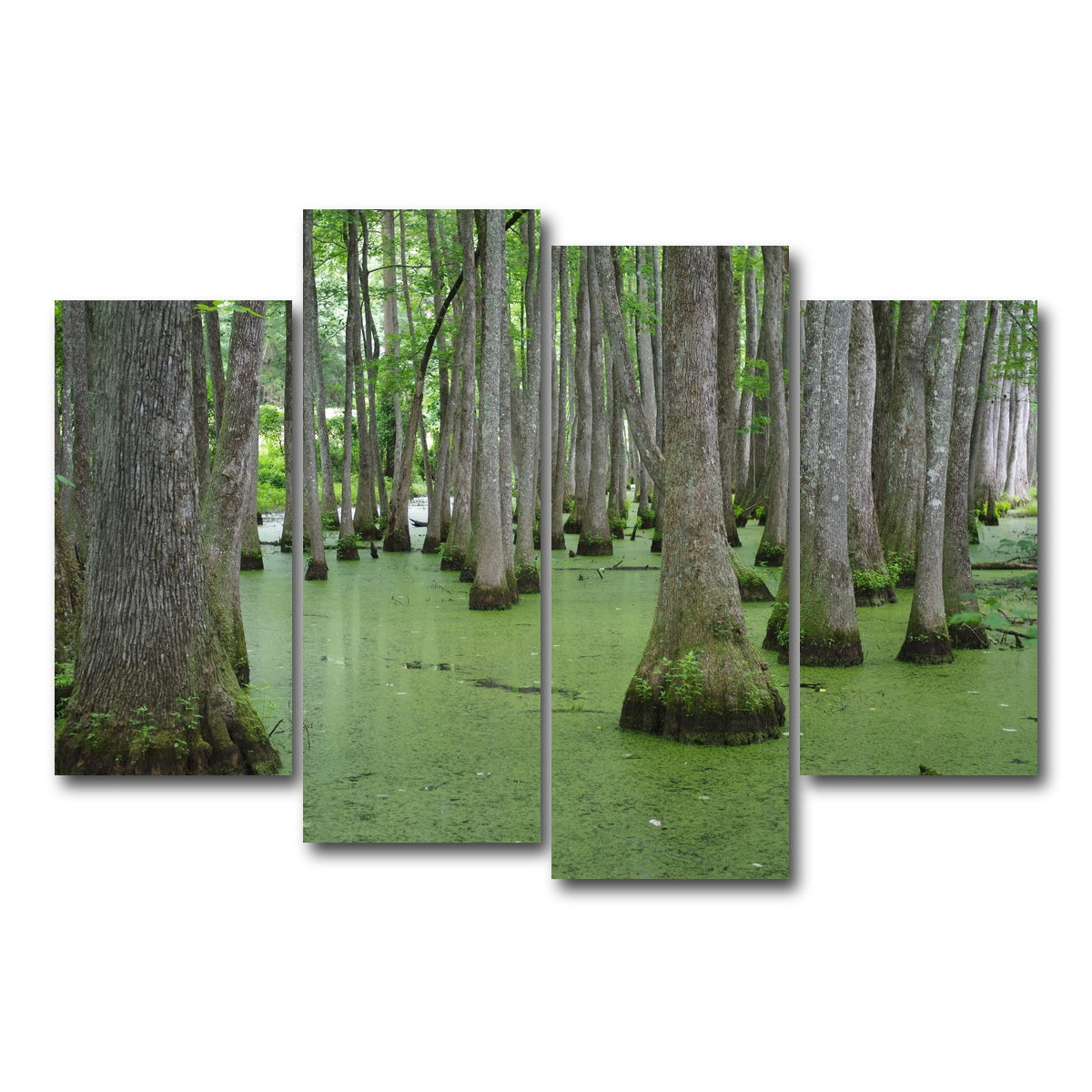 AUTO-MOCKUP WHITE | Swampland - Tallahassee | 4 Piece | Gallery Wrap Canvas | group=4_short