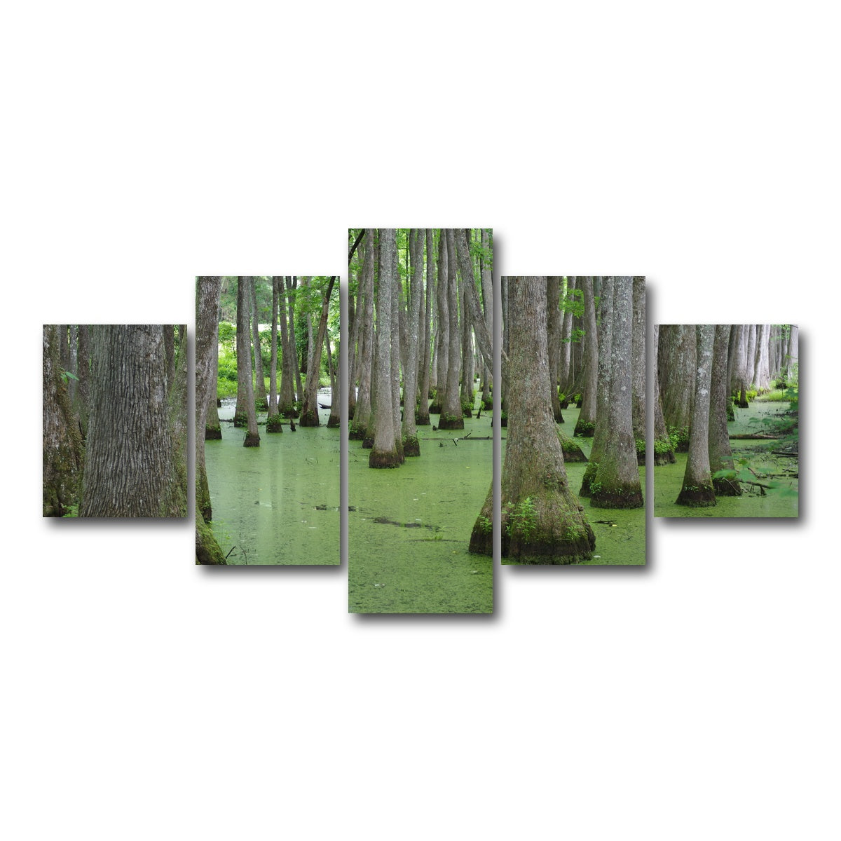 AUTO-MOCKUP WHITE | Swampland - Tallahassee | 5 Piece | Gallery Wrap Canvas | group=5_short