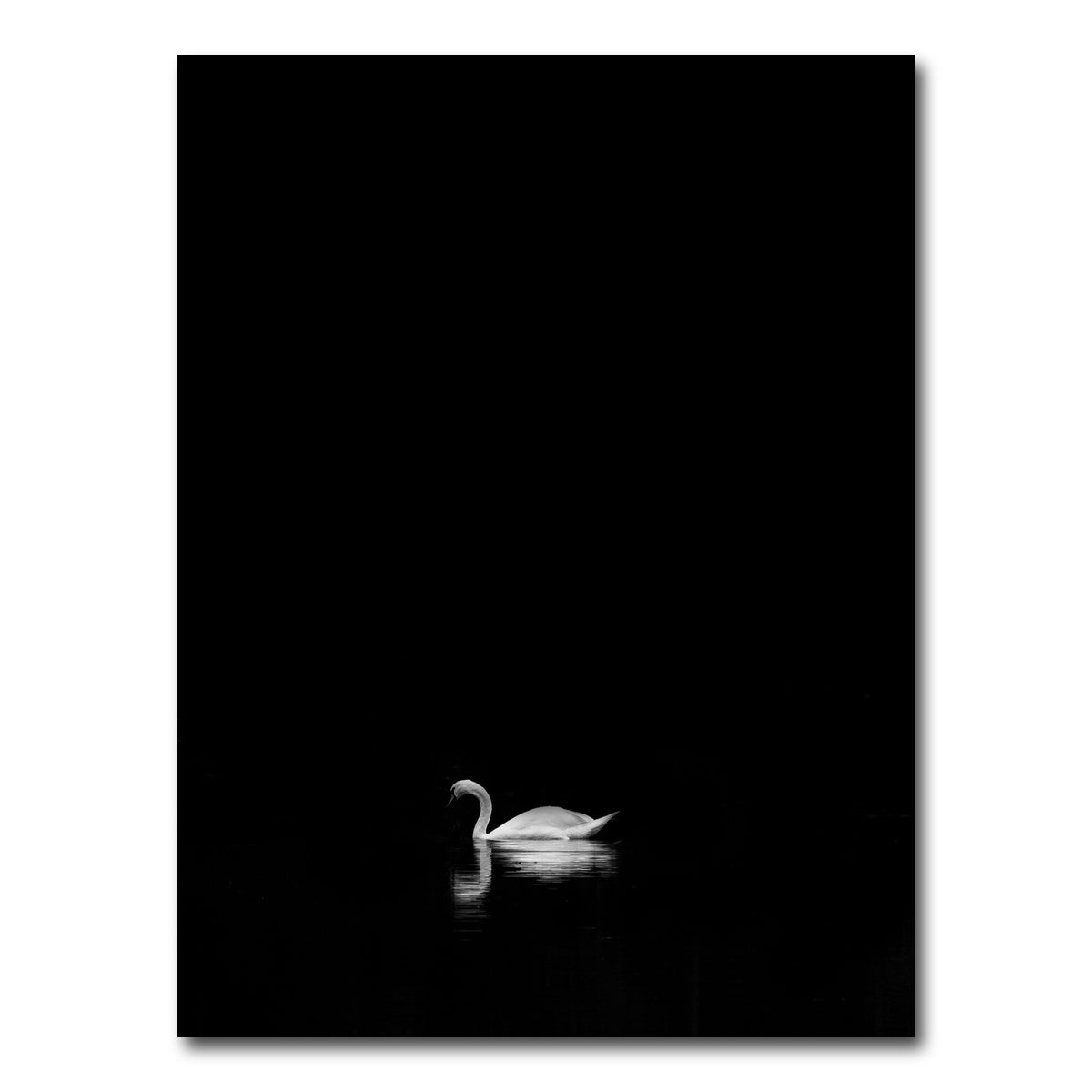 AUTO-MOCKUP WHITE | Swan Lake 1 | 1 Piece | Gallery Wrap Canvas | group=3x4