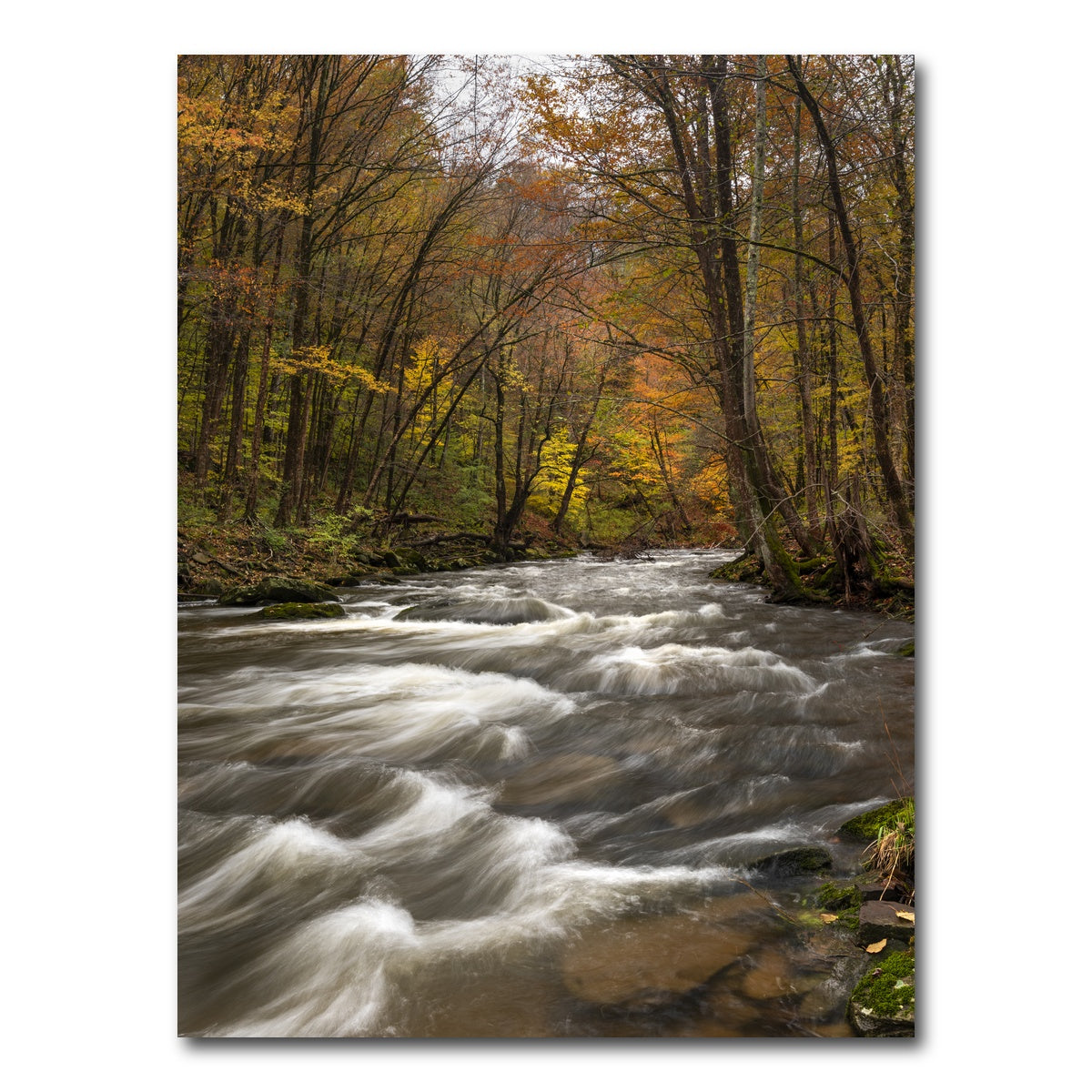 AUTO-MOCKUP WHITE | Tanner's River | 1 Piece | Gallery Wrap Canvas | group=3x4