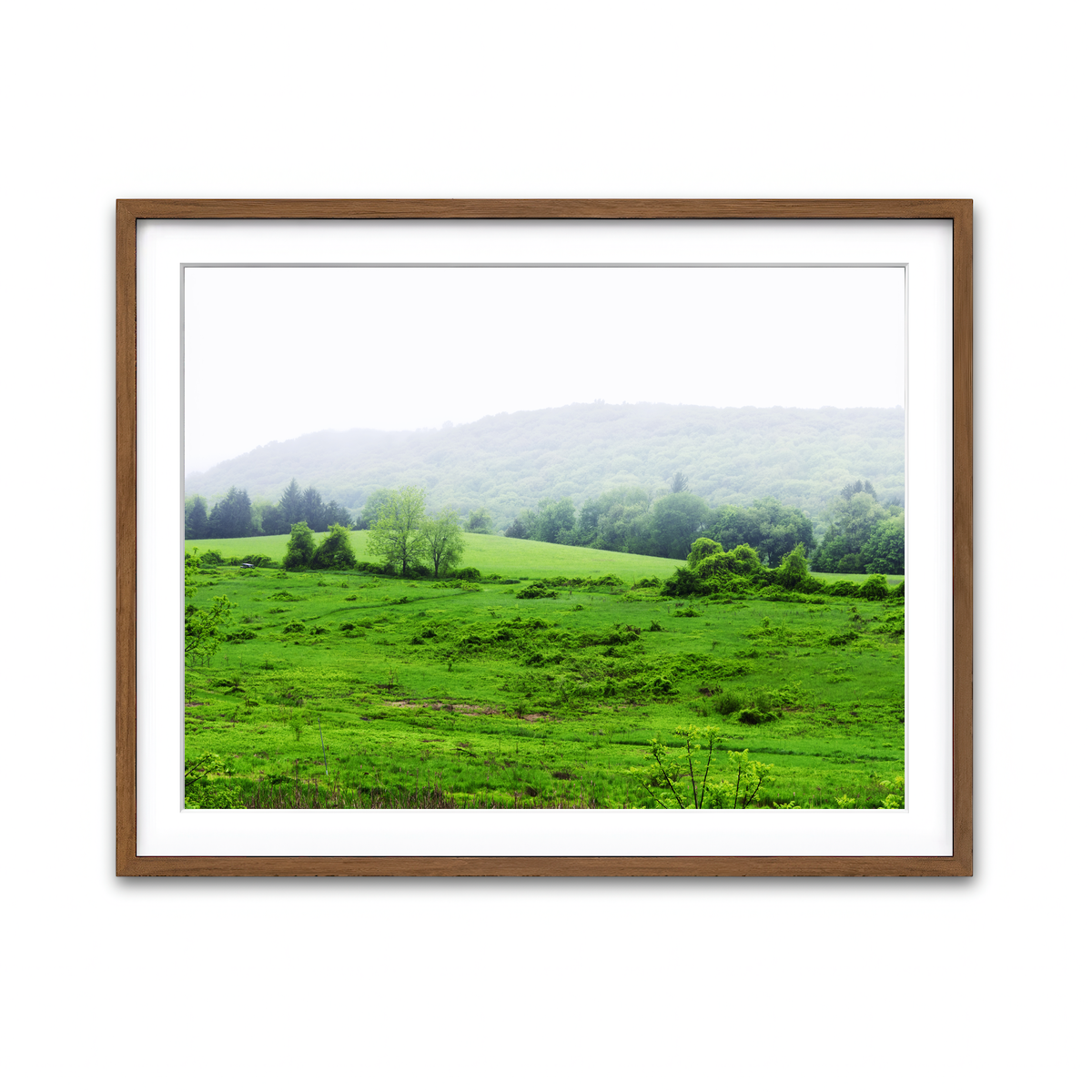 Framed Print 4x3 Walnut