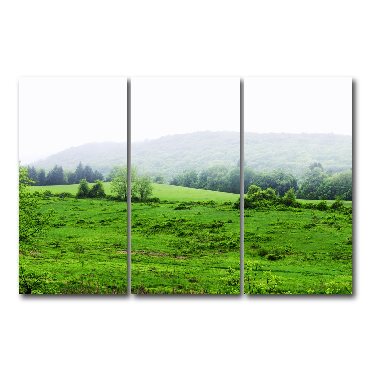 AUTO-MOCKUP WHITE | Tarrywile Park | 3 Piece | Gallery Wrap Canvas | group=12x24