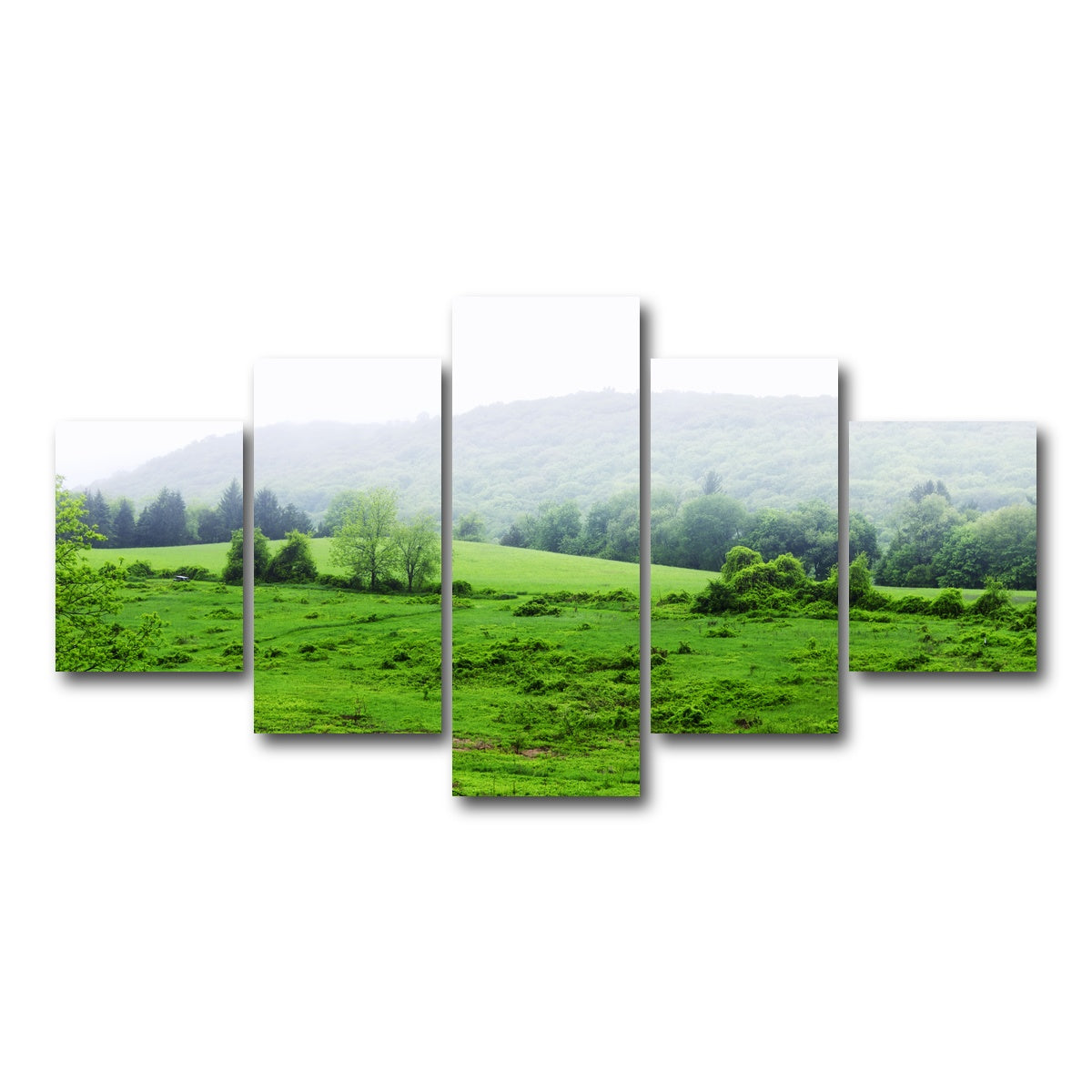 AUTO-MOCKUP WHITE | Tarrywile Park | 5 Piece | Gallery Wrap Canvas | group=5_short