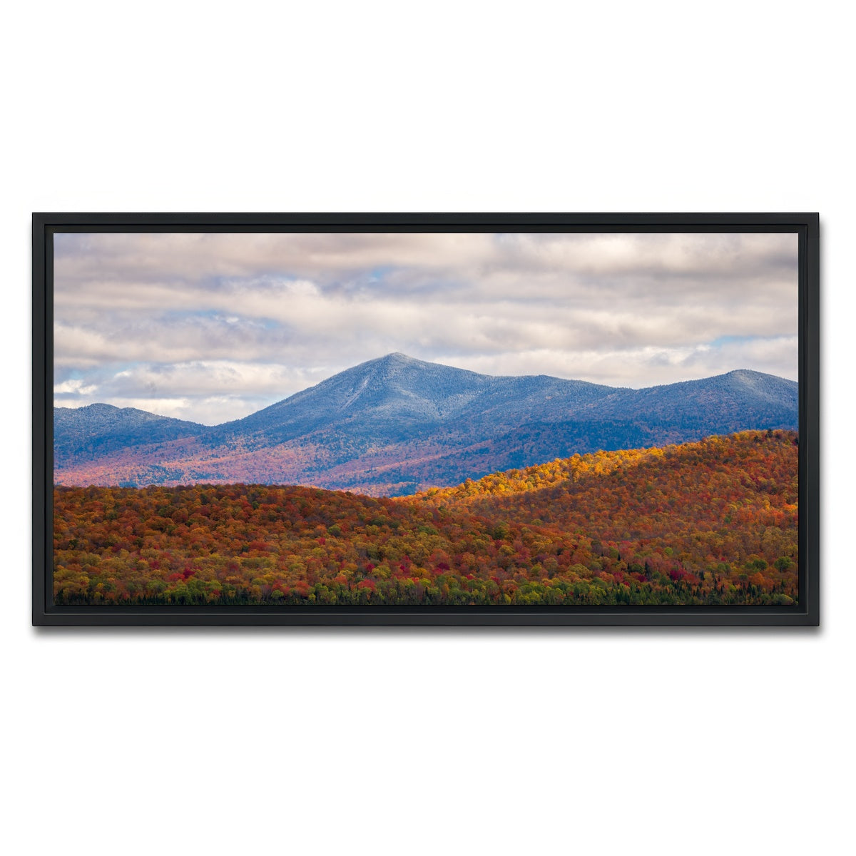 AUTO-MOCKUP WHITE | Tease of Winter | 1 Piece | Black Framed Canvas | group=2x1