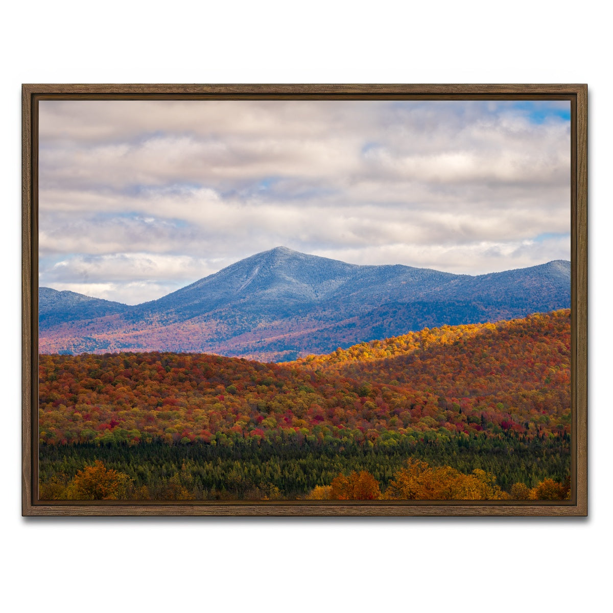 AUTO-MOCKUP WHITE | Tease of Winter | 1 Piece | Walnut Framed Canvas | group=4x3