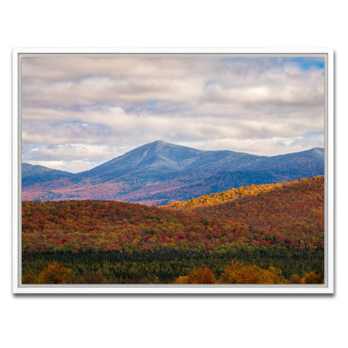 AUTO-MOCKUP WHITE | Tease of Winter | 1 Piece | White Framed Canvas | group=4x3