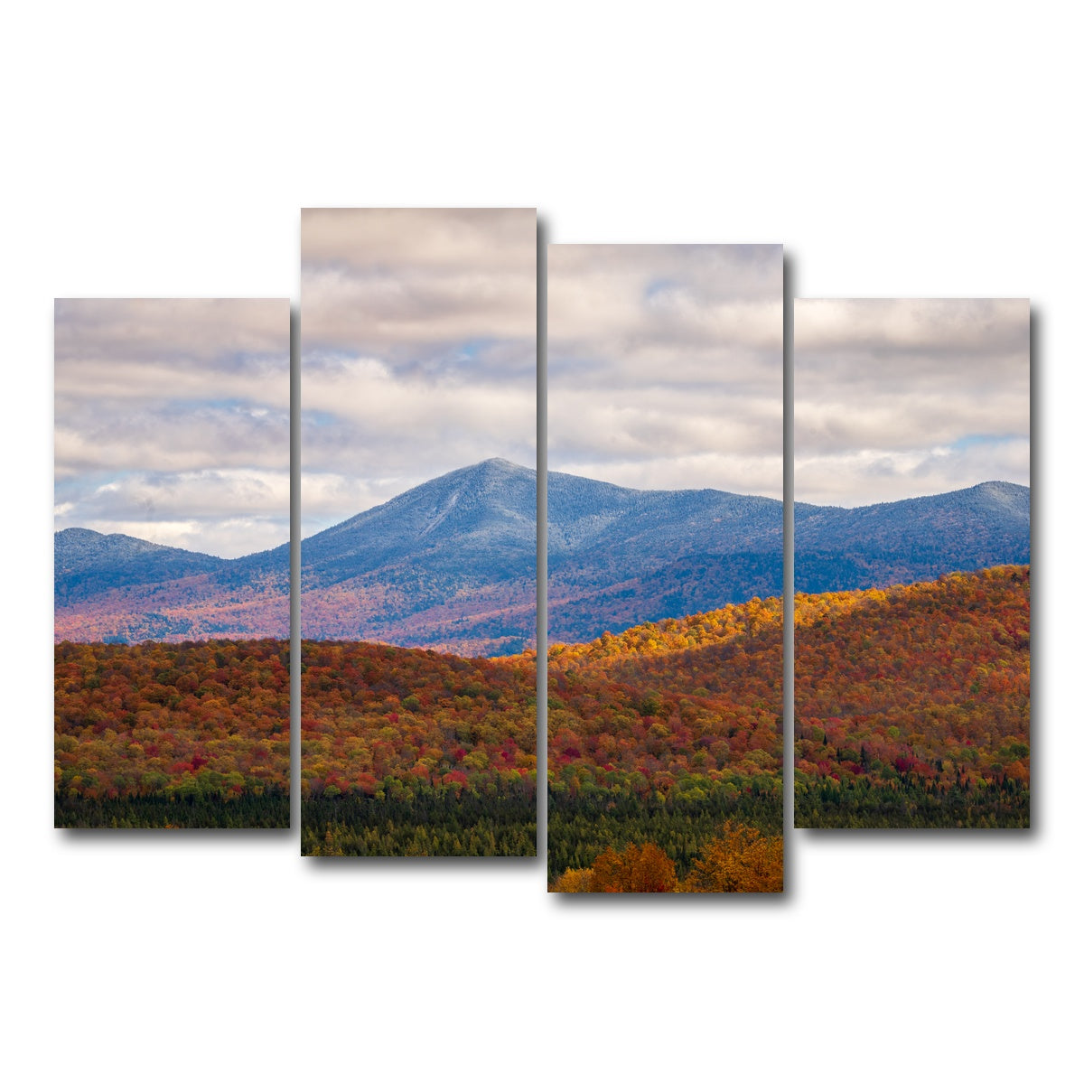 AUTO-MOCKUP WHITE | Tease of Winter | 4 Piece | Gallery Wrap Canvas | group=4_normal