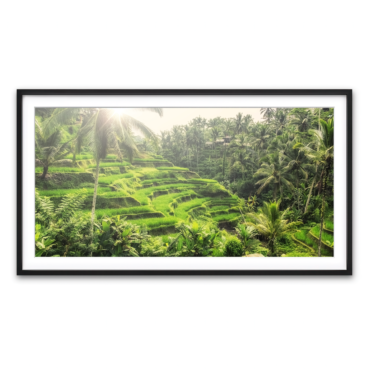 Framed Print 2x1 Black