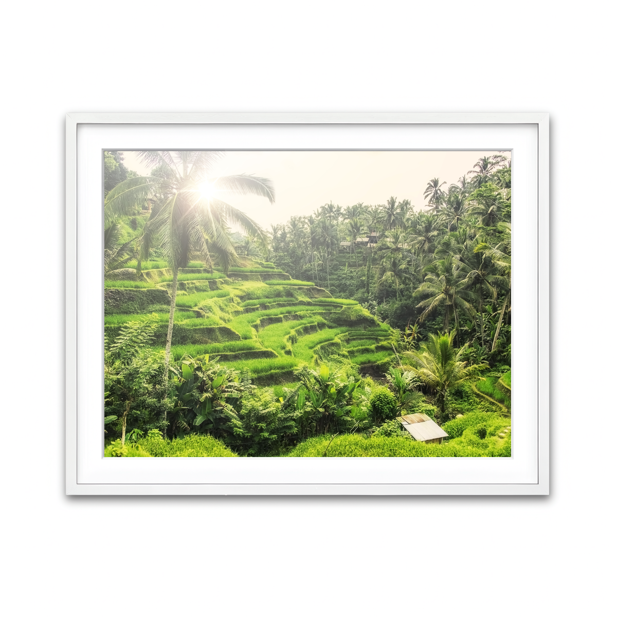 Framed Print 4x3 White