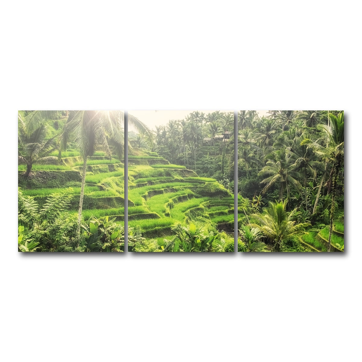 AUTO-MOCKUP WHITE | Tegallalang | 3 Piece | Gallery Wrap Canvas | group=18x24