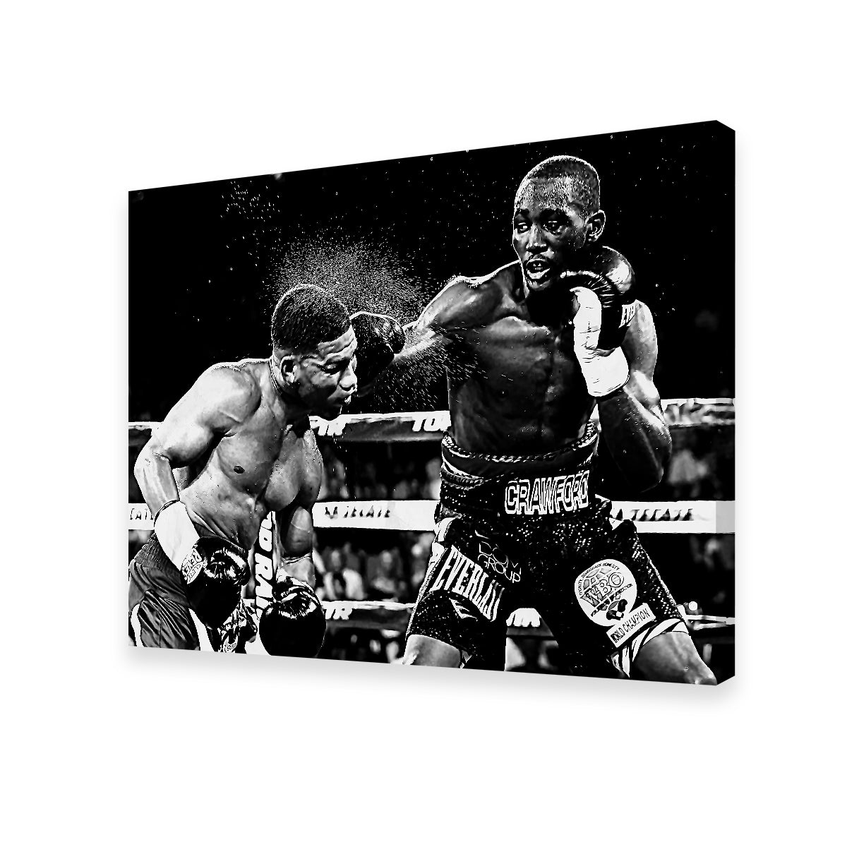 Terence Crawford Grayscale Wall Art