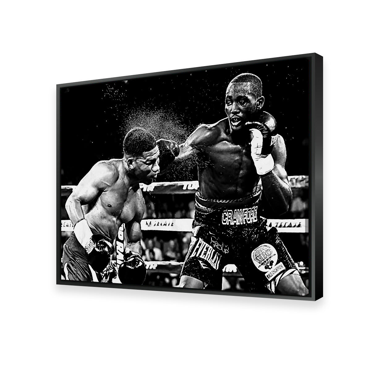 Terence Crawford Grayscale Wall Art