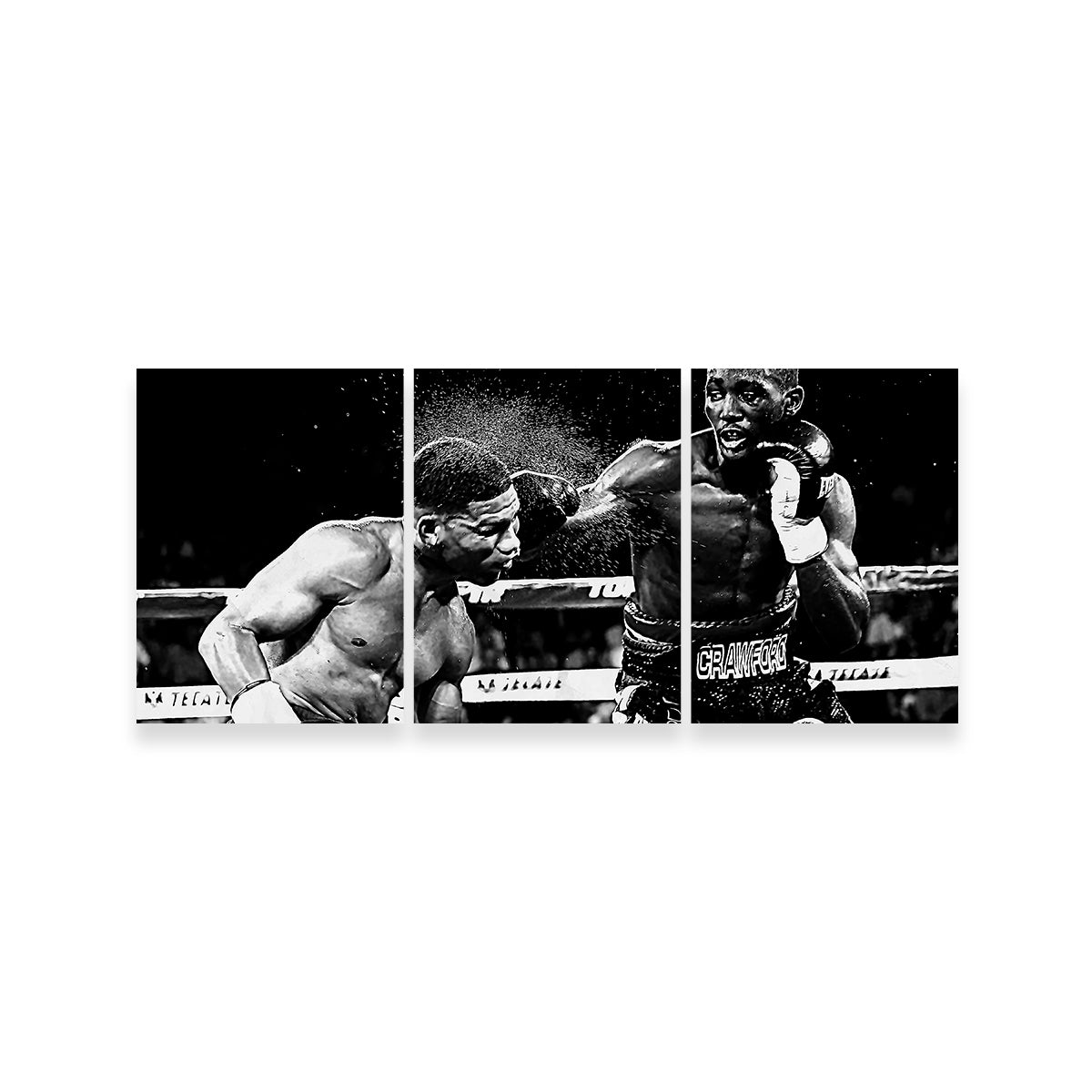 Terence Crawford Grayscale Wall Art