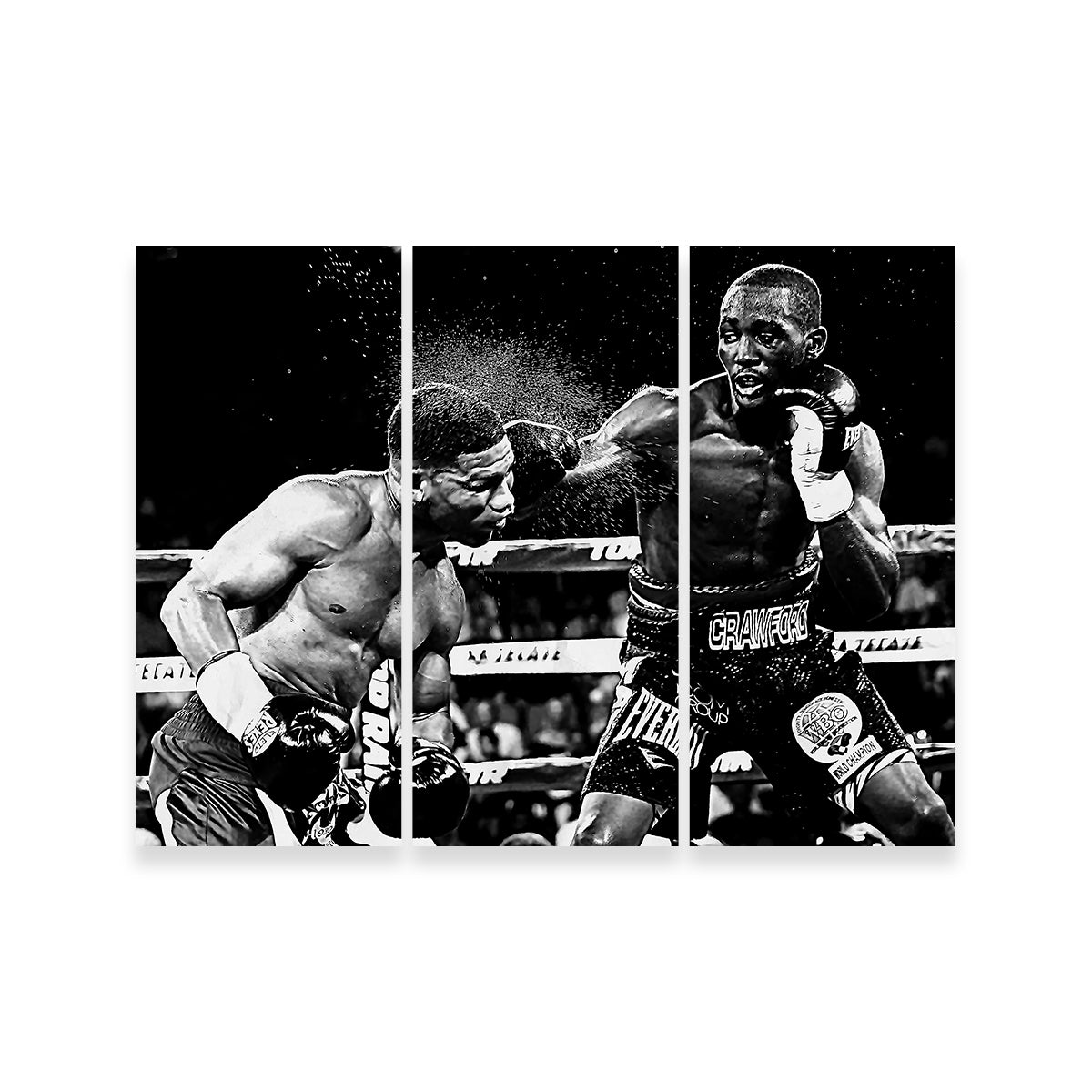 Terence Crawford Grayscale Wall Art