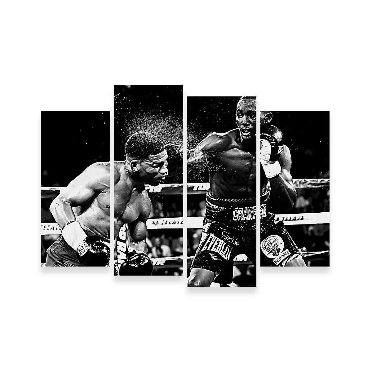 Terence Crawford Grayscale Wall Art