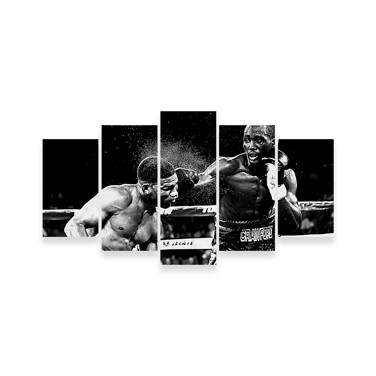 Terence Crawford Grayscale Wall Art