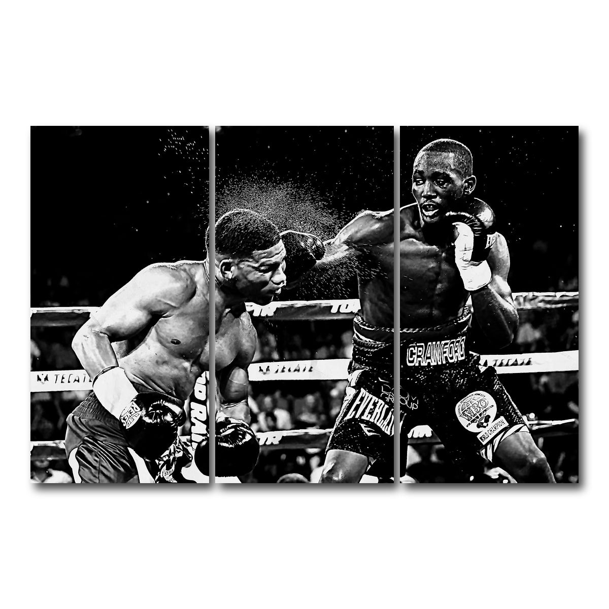AUTO-MOCKUP WHITE | Terence Crawford Grayscale | 3 Piece | Gallery Wrap Canvas | group=12x24