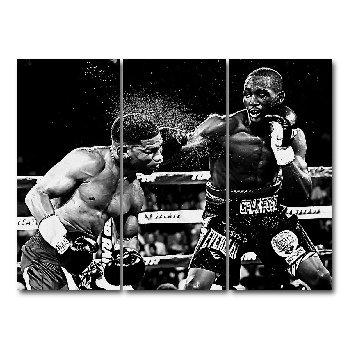 AUTO-MOCKUP WHITE | Terence Crawford Grayscale | 3 Piece | Gallery Wrap Canvas | group=8x18