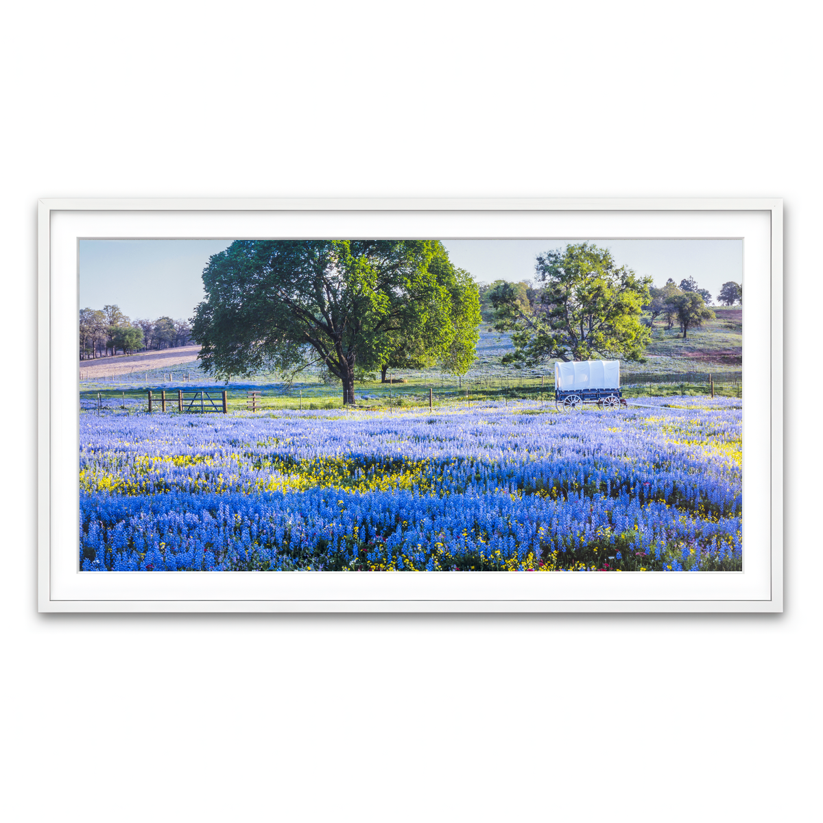 Framed Print 2x1 White