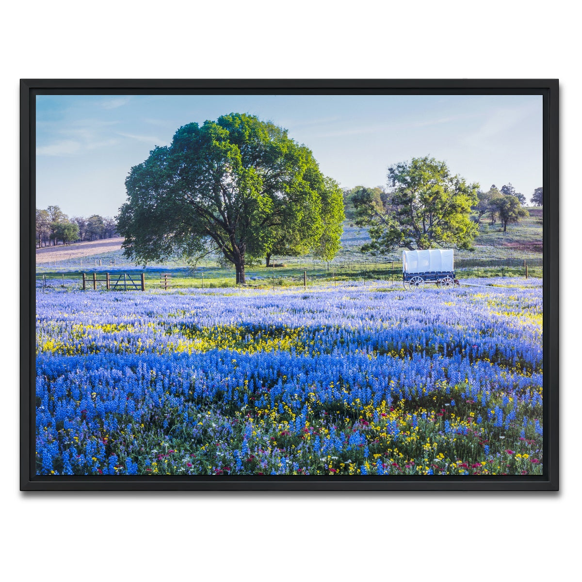 AUTO-MOCKUP WHITE | Texas Hill country in spring | 1 Piece | Black Framed Canvas | group=4x3