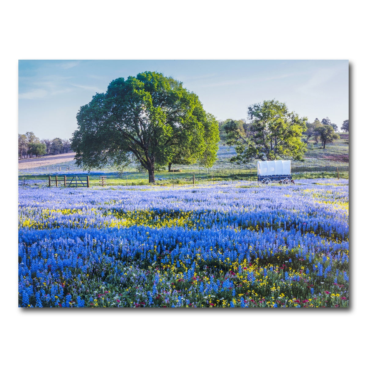 AUTO-MOCKUP WHITE | Texas Hill country in spring | 1 Piece | Gallery Wrap Canvas | group=4x3