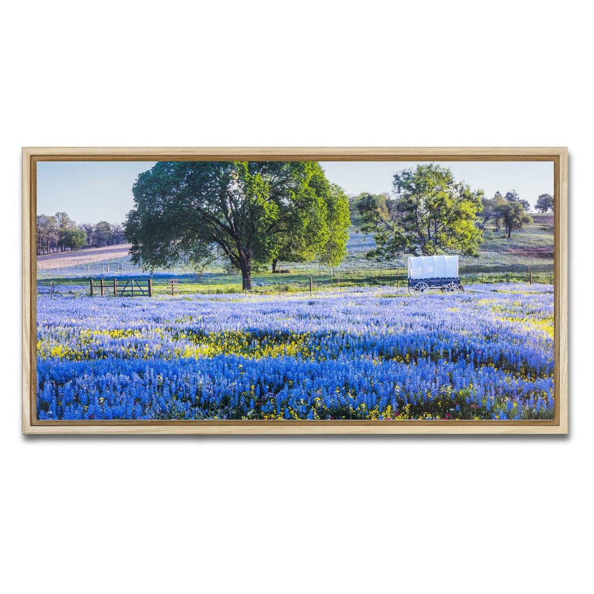 AUTO-MOCKUP WHITE | Texas Hill country in spring | 1 Piece | Natural Framed Canvas | group=2x1