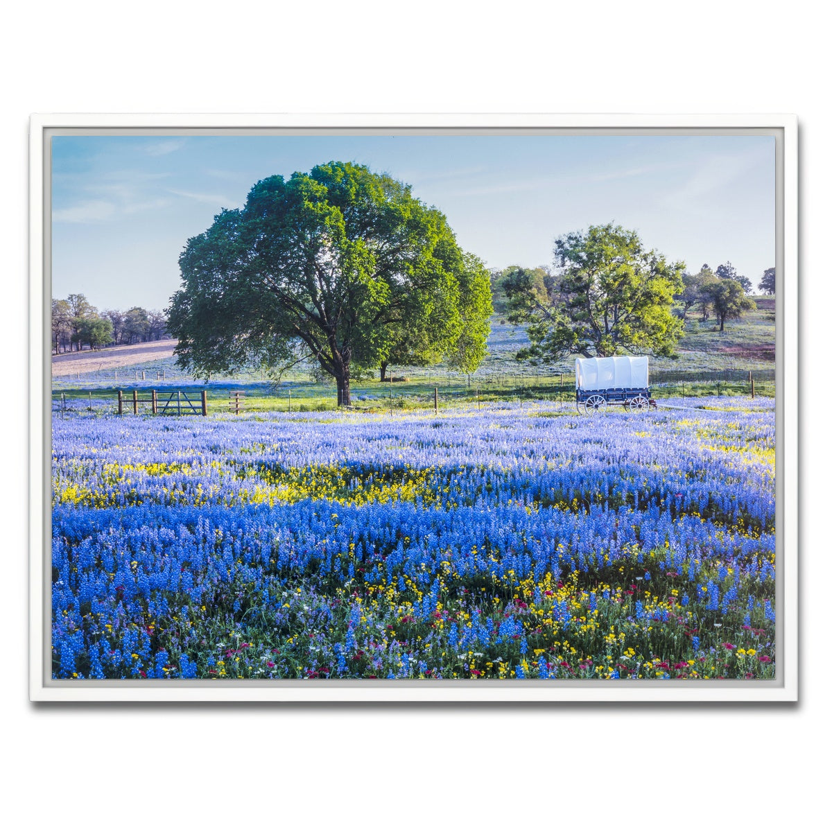 AUTO-MOCKUP WHITE | Texas Hill country in spring | 1 Piece | White Framed Canvas | group=4x3