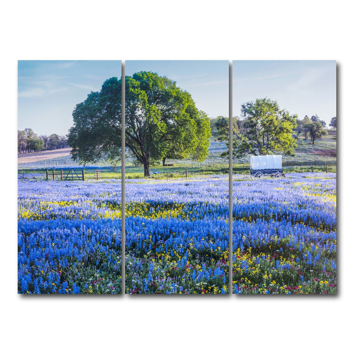 AUTO-MOCKUP WHITE | Texas Hill country in spring | 3 Piece | Gallery Wrap Canvas | group=8x18