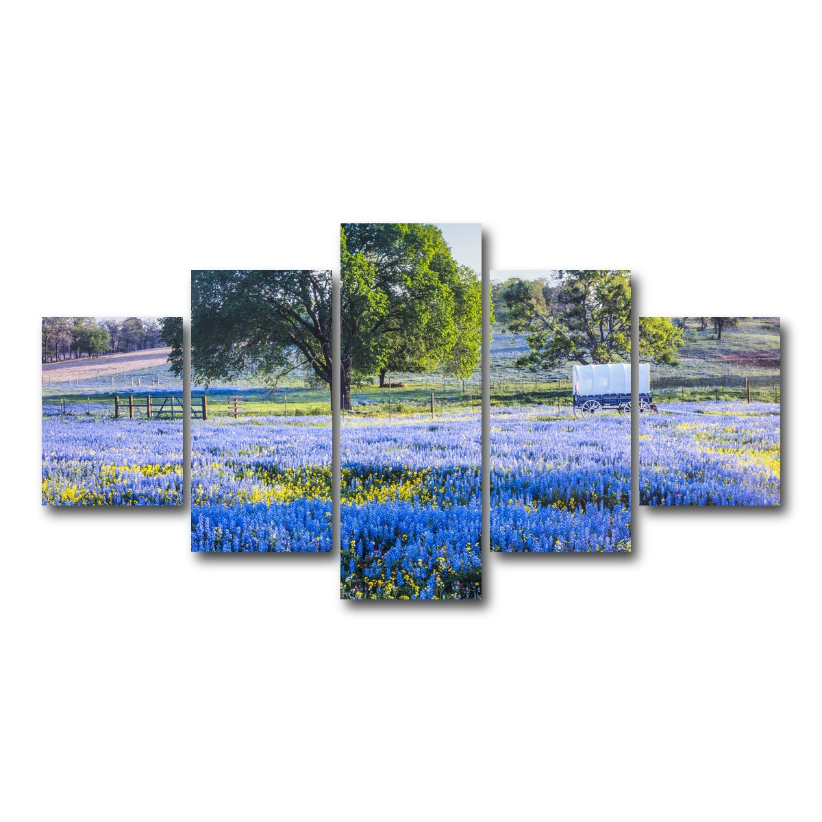 AUTO-MOCKUP WHITE | Texas Hill country in spring | 5 Piece | Gallery Wrap Canvas | group=5_short