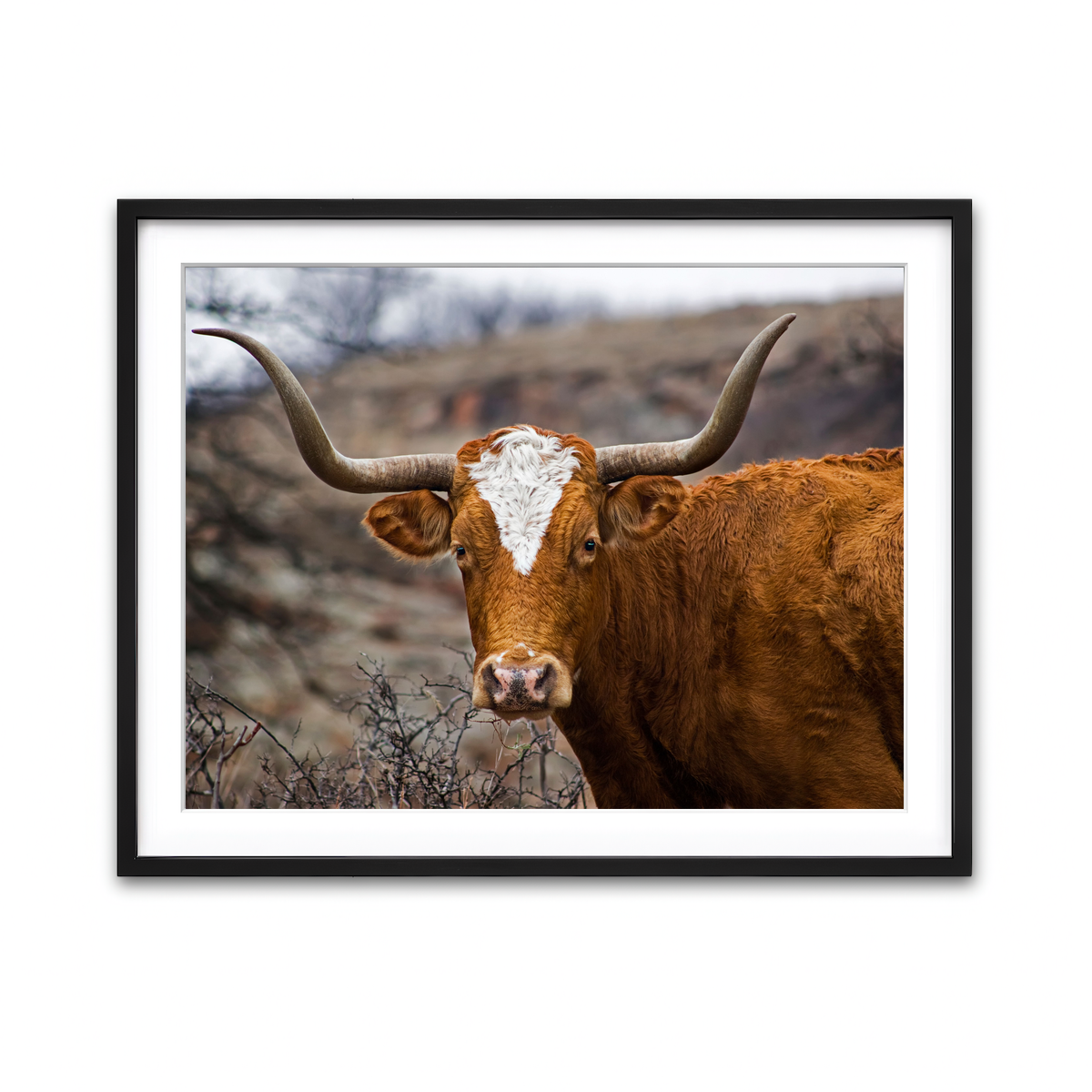 Framed Print 4x3 Black