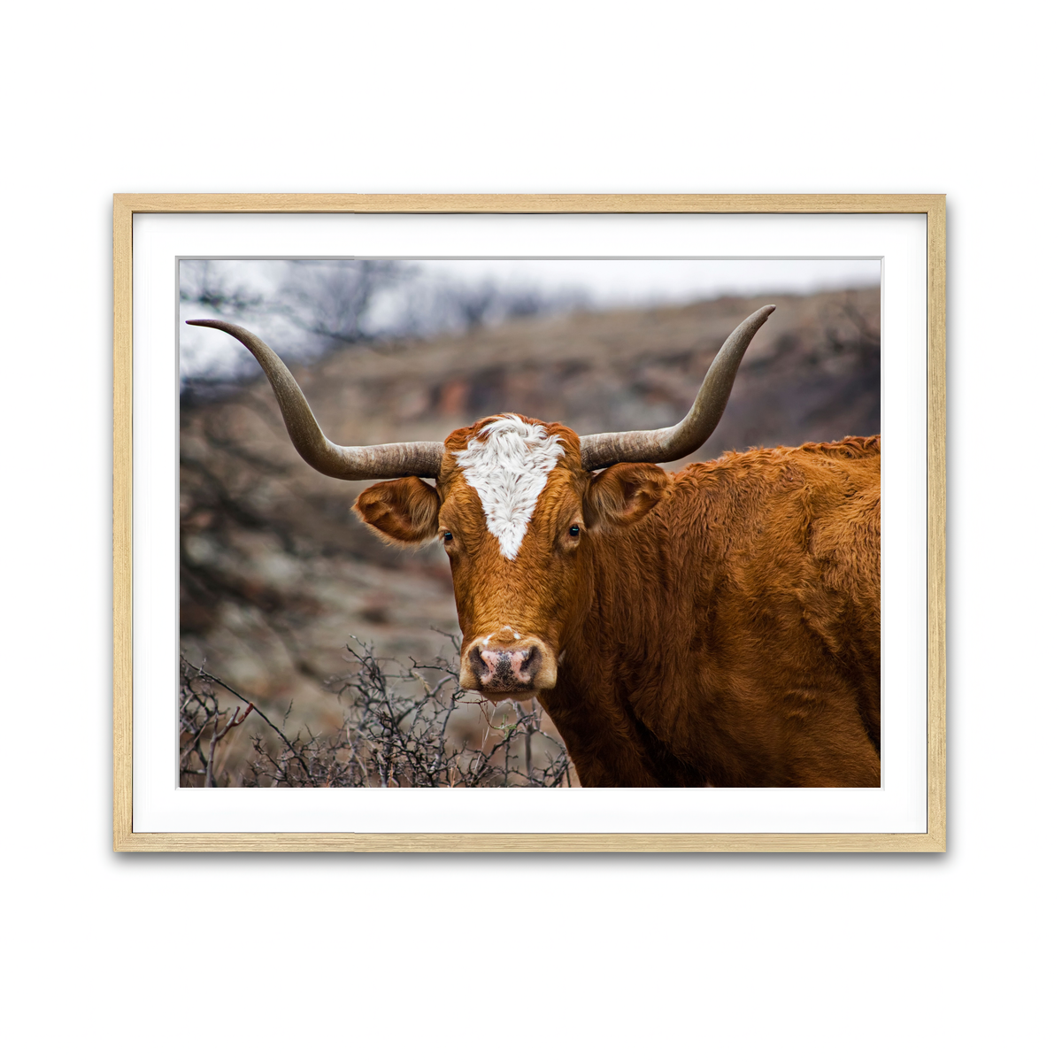 Framed Print 4x3 Natural