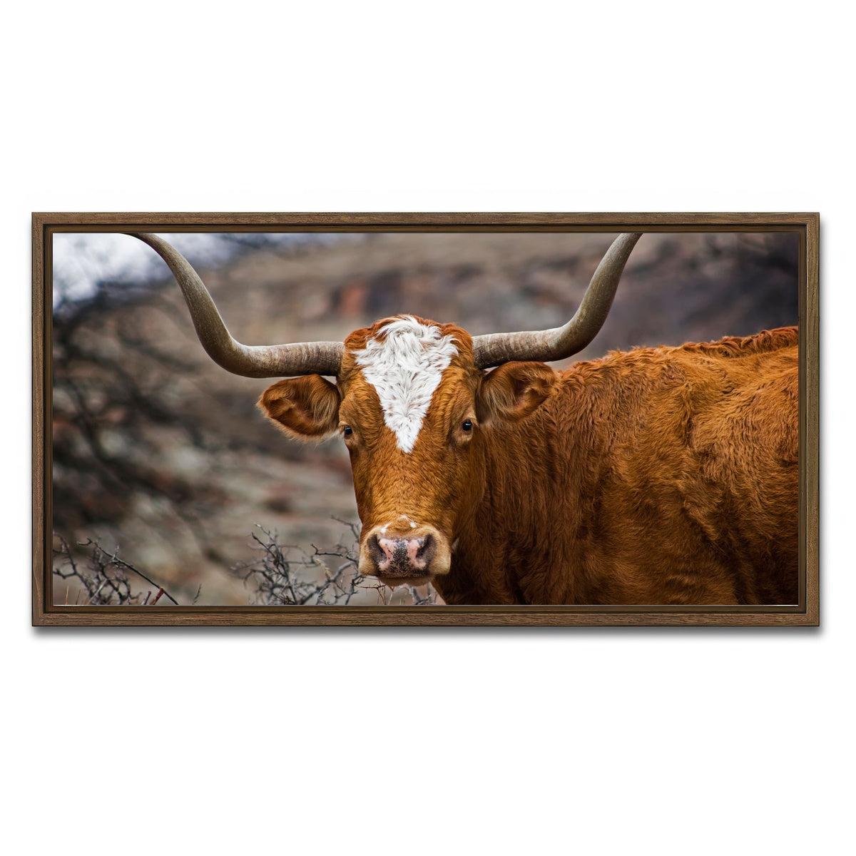 AUTO-MOCKUP WHITE | Texas Longhorn | 1 Piece | Walnut Framed Canvas | group=2x1