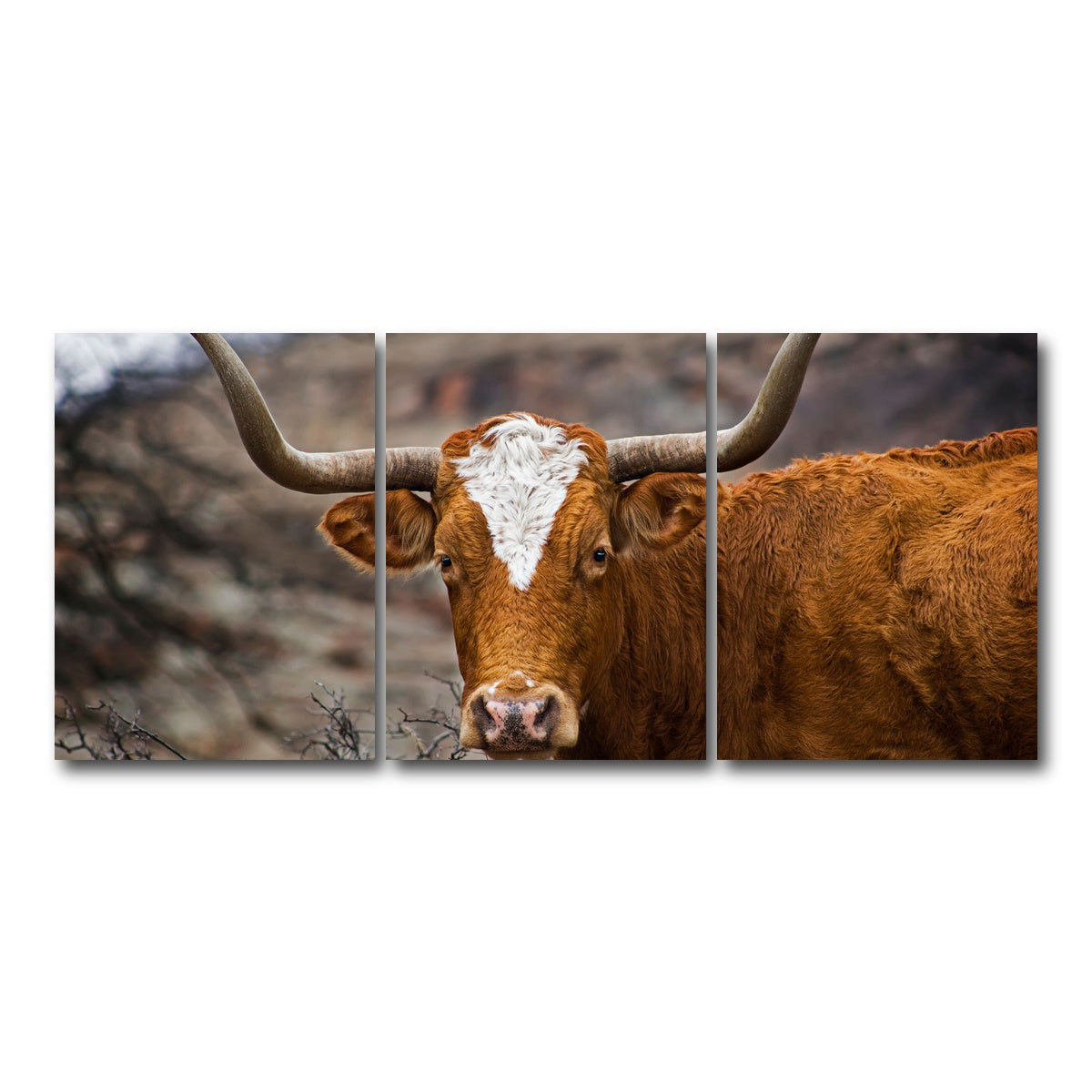 AUTO-MOCKUP WHITE | Texas Longhorn | 3 Piece | Gallery Wrap Canvas | group=18x24
