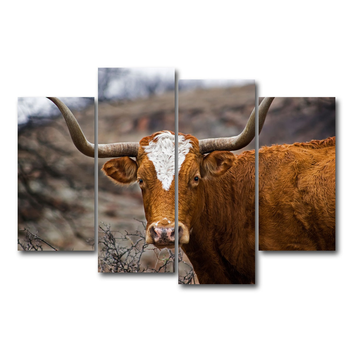 AUTO-MOCKUP WHITE | Texas Longhorn | 4 Piece | Gallery Wrap Canvas | group=4_short