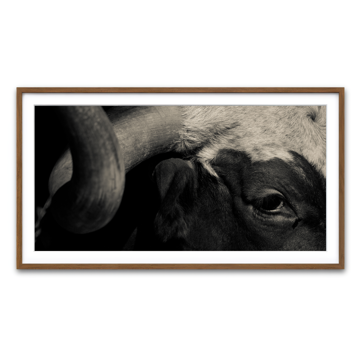 Framed Print 2x1 Walnut