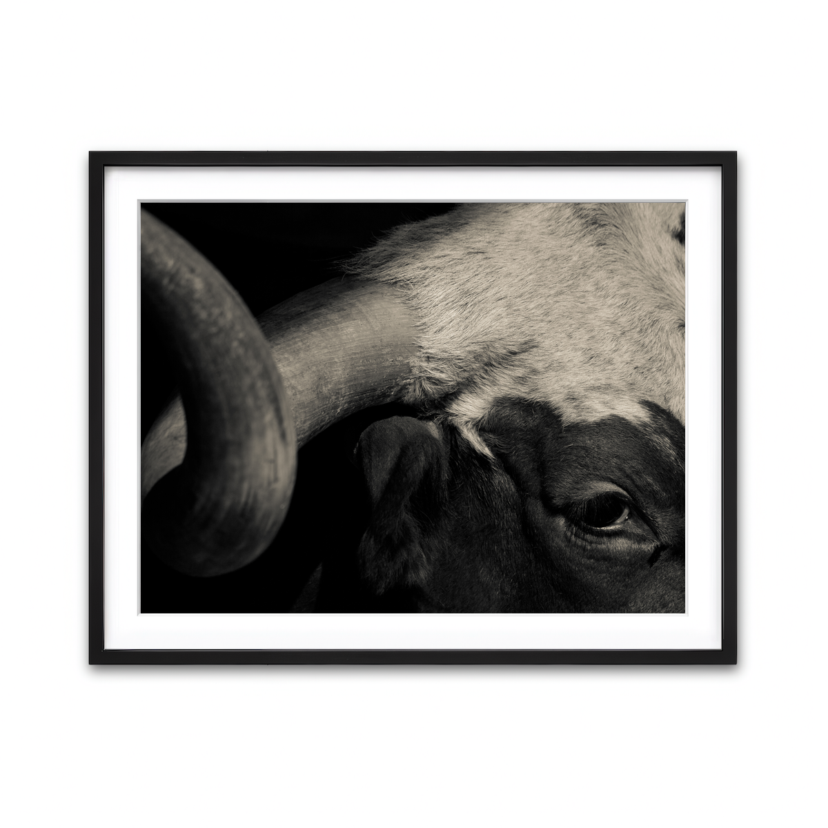 Framed Print 4x3 Black