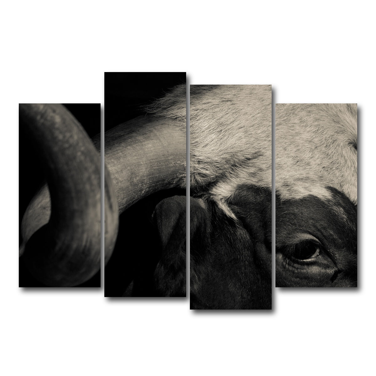 AUTO-MOCKUP WHITE | Texas Longhorn cow | 4 Piece | Gallery Wrap Canvas | group=4_normal